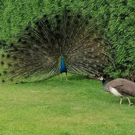 Naturaleza Y Playas * O Vicedo